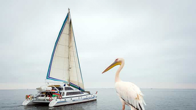 Catemaran Excursions Image