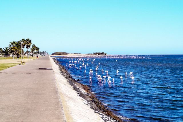 Walvis Bay Lagoon